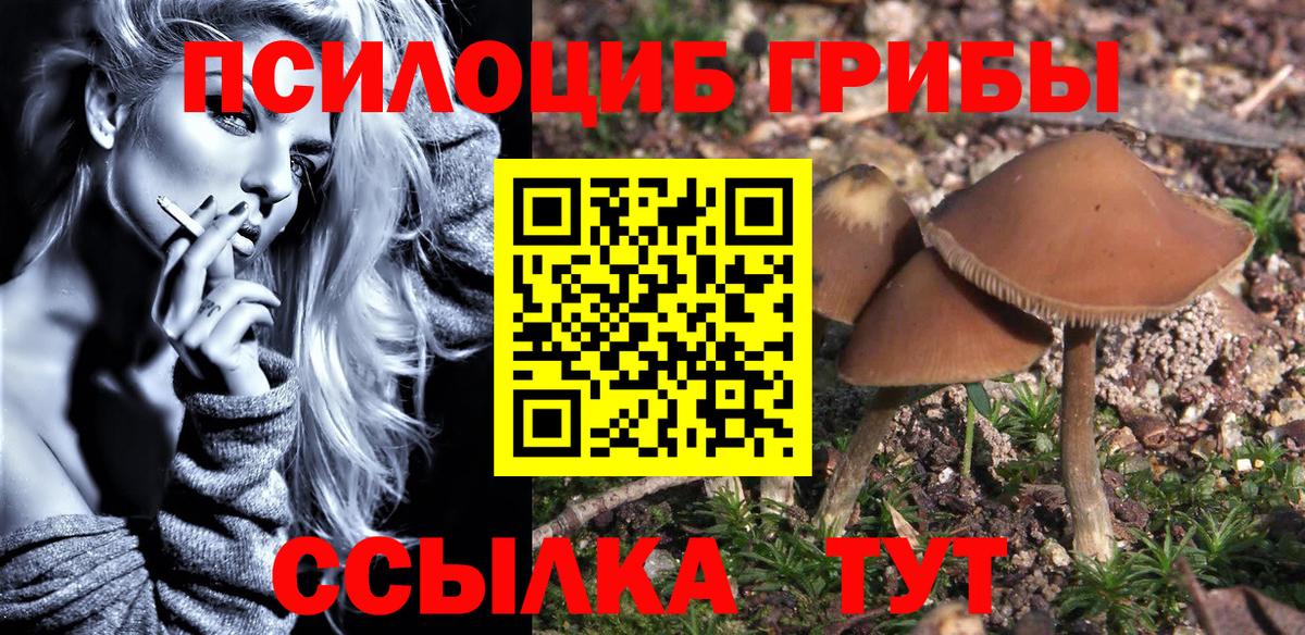 Галлюциногенные грибы GOLDEN TEACHER Чехов